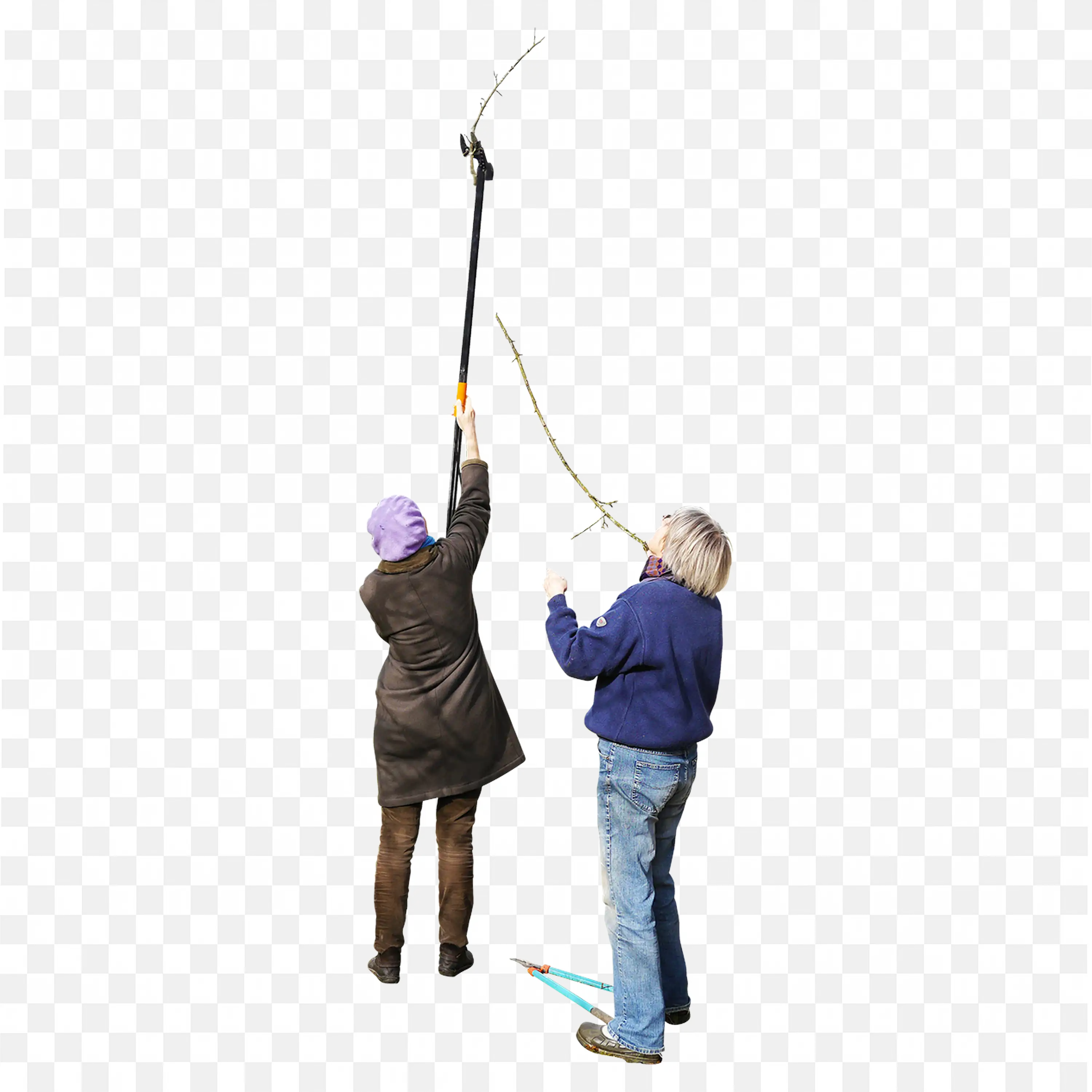 Two People Pruning Tree Branches with a Long Pole PNG