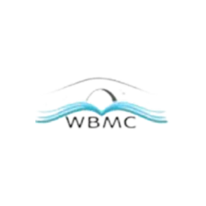 Wisdom Bridge Consultants