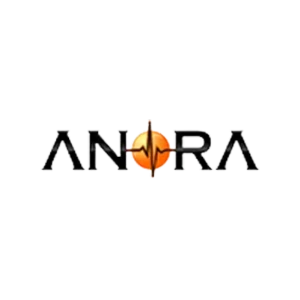 Anora Semiconductor Labs
