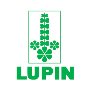 Lupin