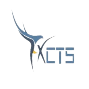 Falcon X Consulting And Technology Services
