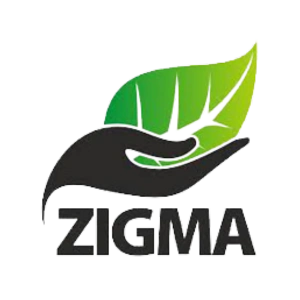 Zigma Global Environ Solutions