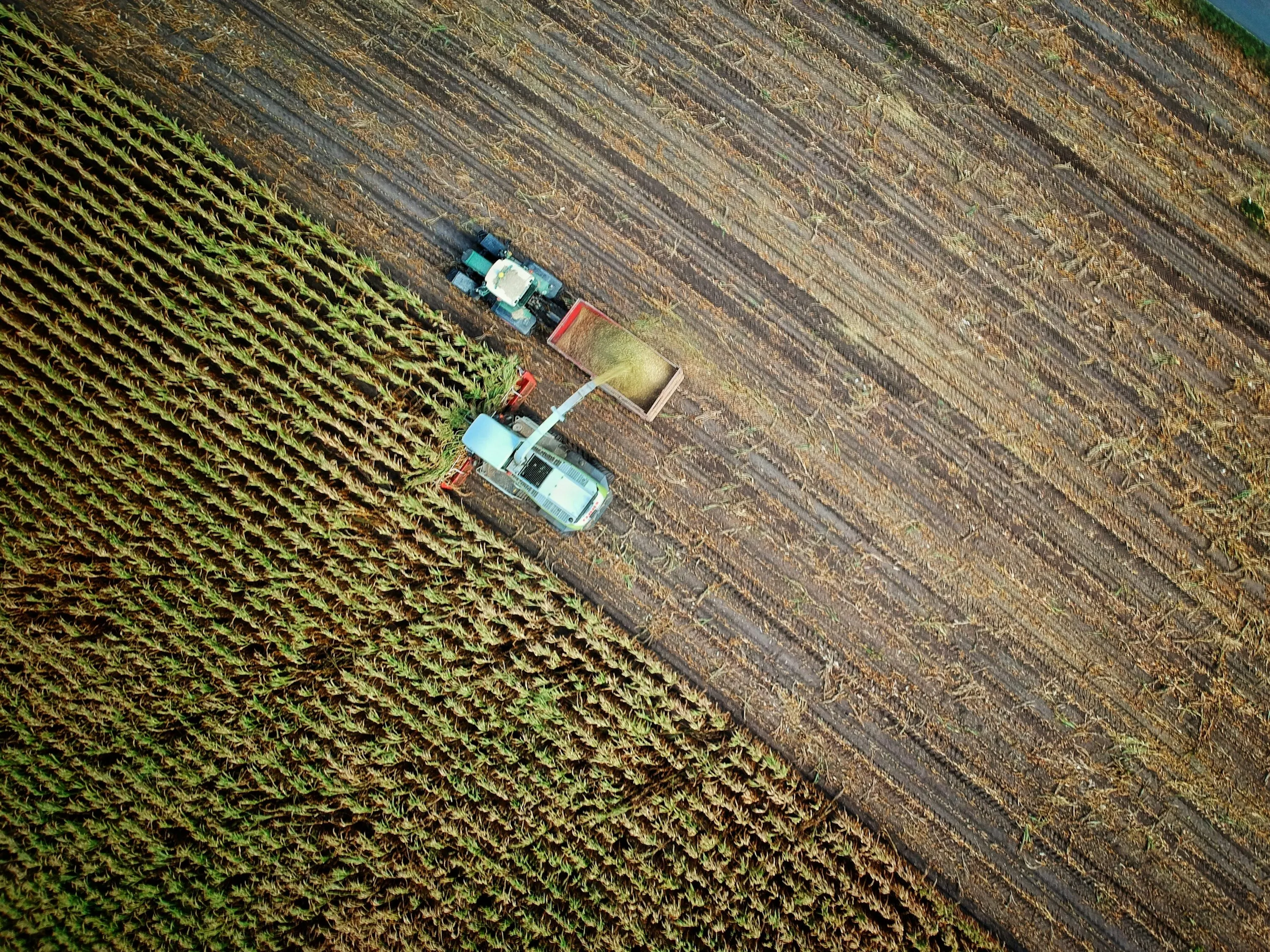 Initiatives for Farmers (2025)
