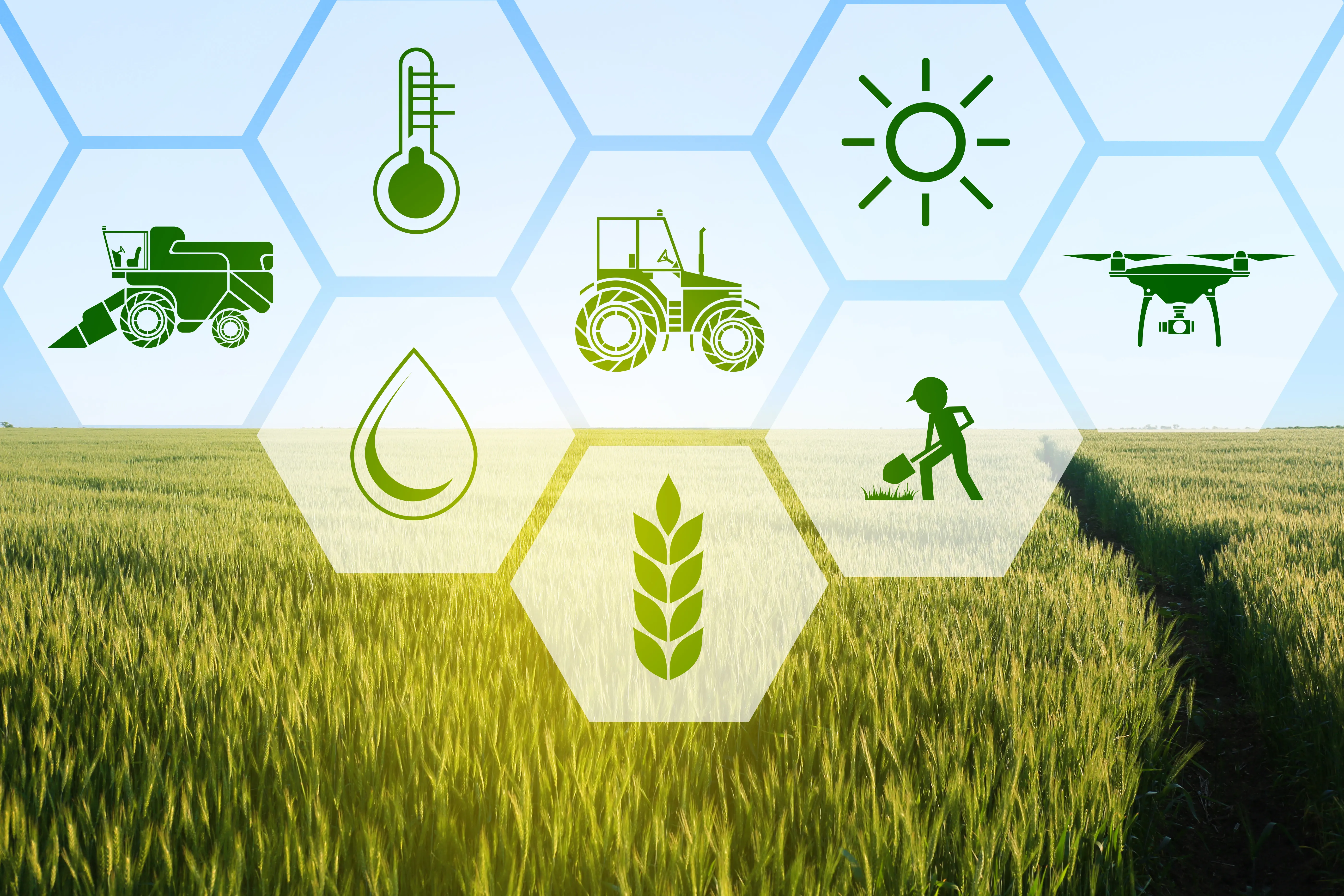 modern agriculture overview