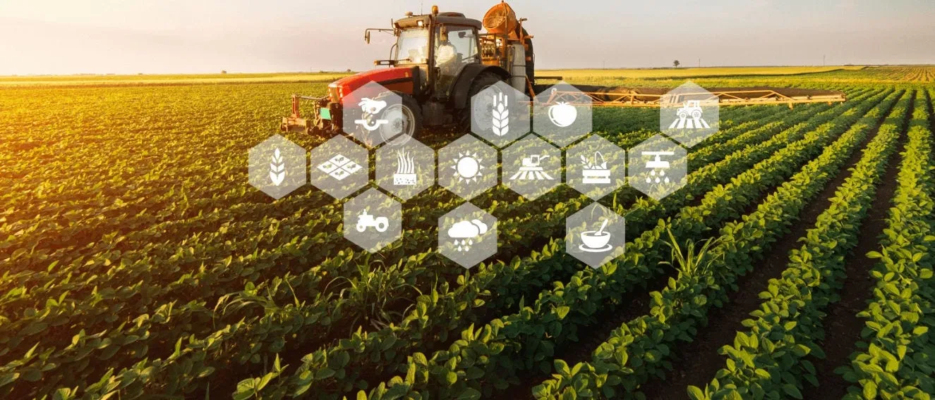 The Foundation of Life: Understanding Modern Agriculture