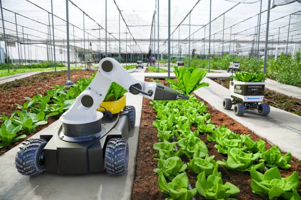 Precision Agriculture