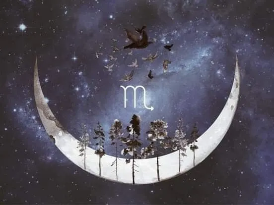 The Enigmatic Power of Scorpio: Loyalty and Intensity