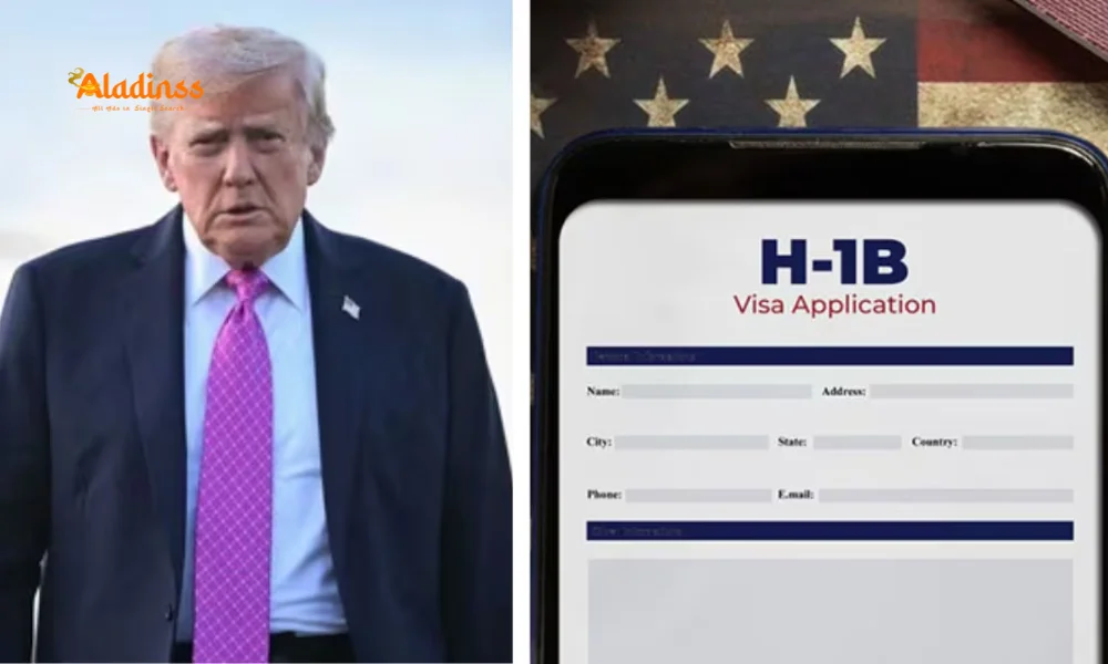 IT Stocks Tumble Up to 6% After Trump's H-1B Visa Fee Hike: Latest Update on Infosys, TCS, Wipro Impact