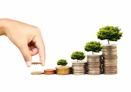 best mutual funds to invest in India for long-term wealth 2025