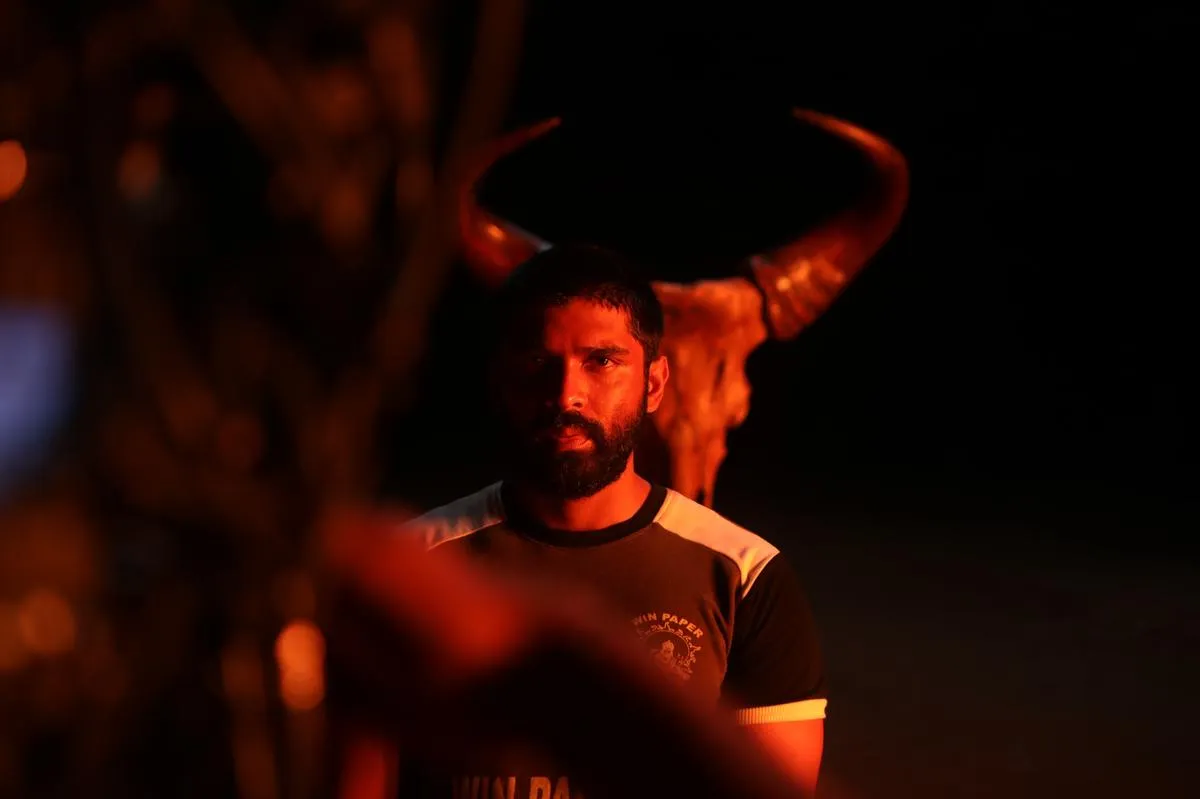 Bison Box Office Performance