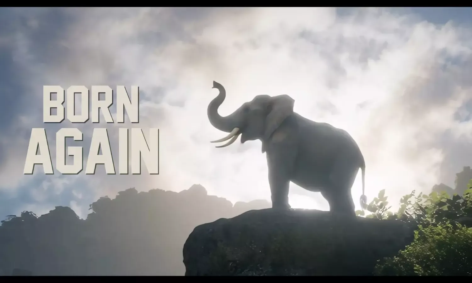 Kumki 2 Box Office 2025