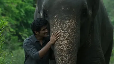 Kumki 2 Audience Reception 2025