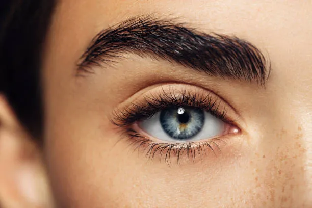 aloe vera for eyelashes