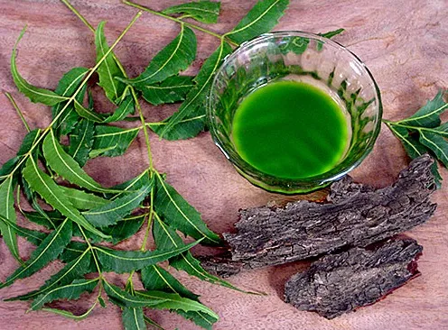 Neem for acne and pimples natural remedy 2025