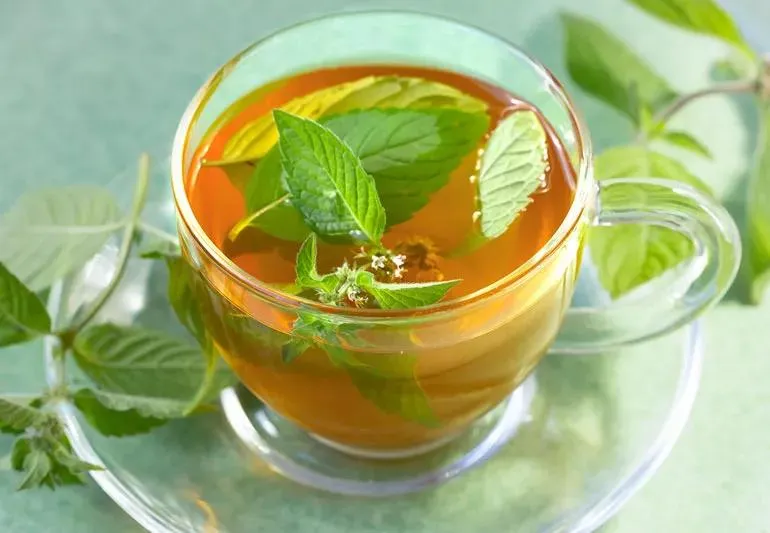 Green tea health benefits in India