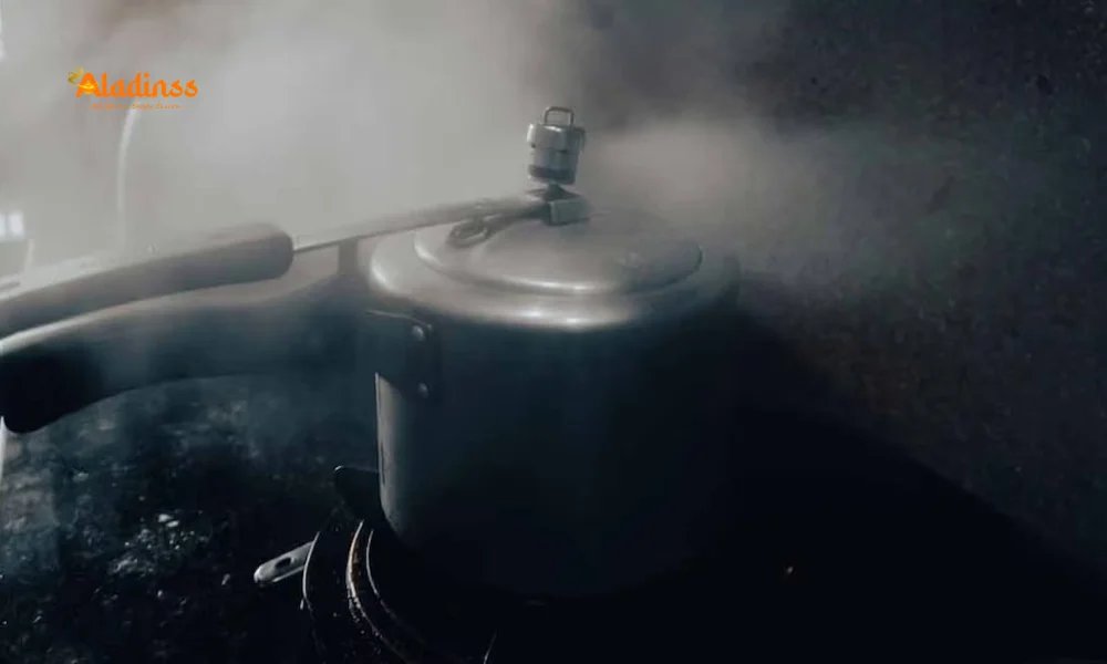 Old Pressure Cookers: A Hidden Health Risk for Your Family