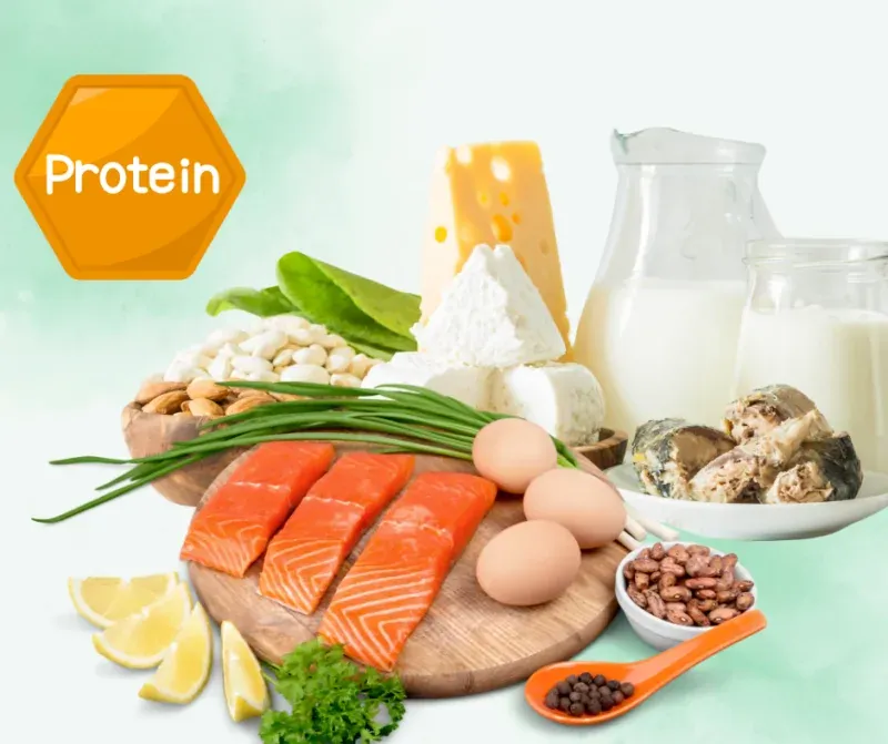 Balancing protein intake 2025
