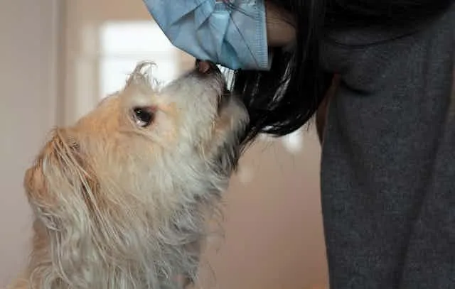 Tuberculosis from dogs warning 2025