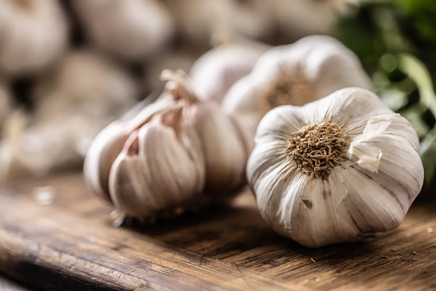 Ayurveda Garlic Benefits