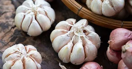Garlic Health Benefits