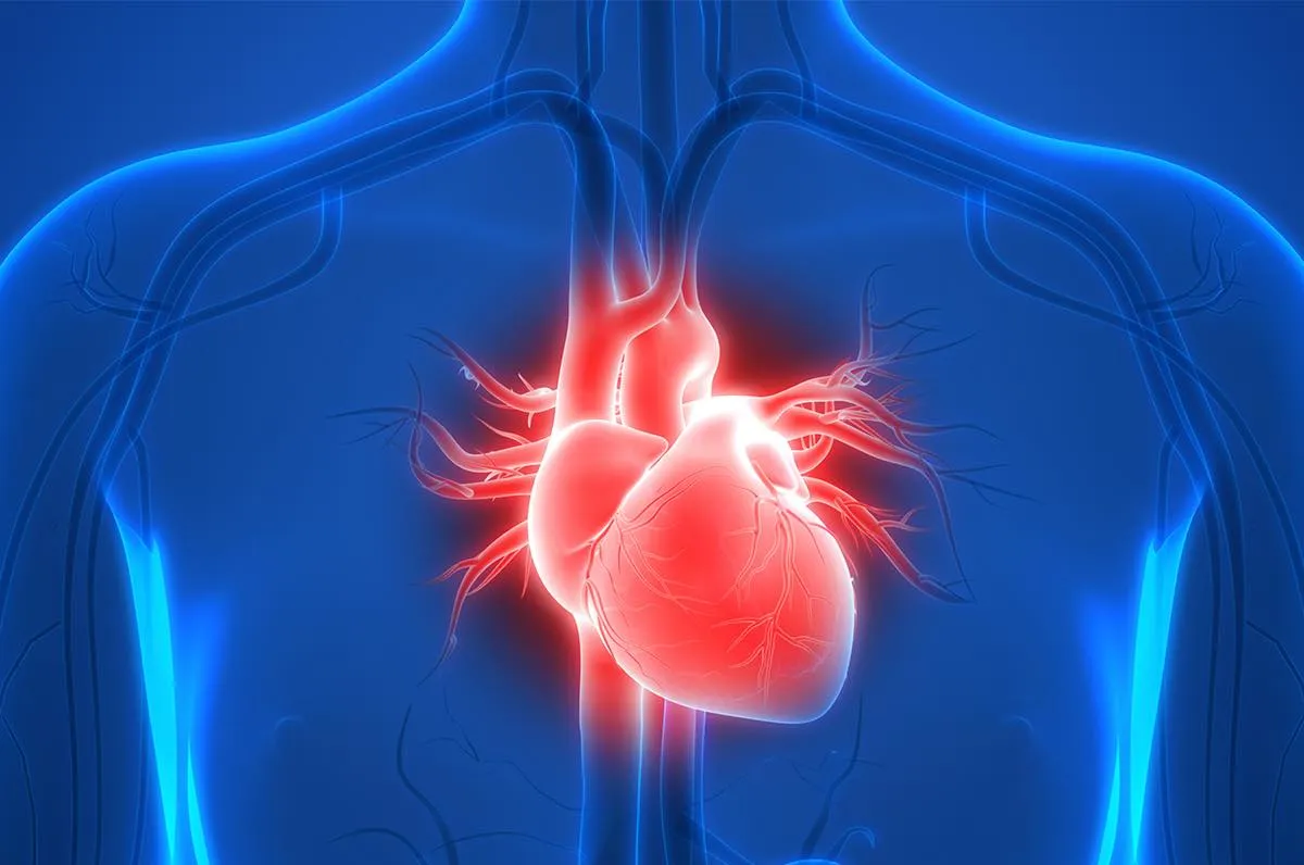 Heart Health Benefits of Quitting Alcohol