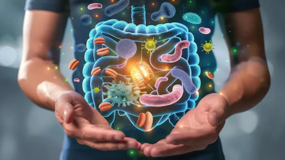 Foods for Gut Health