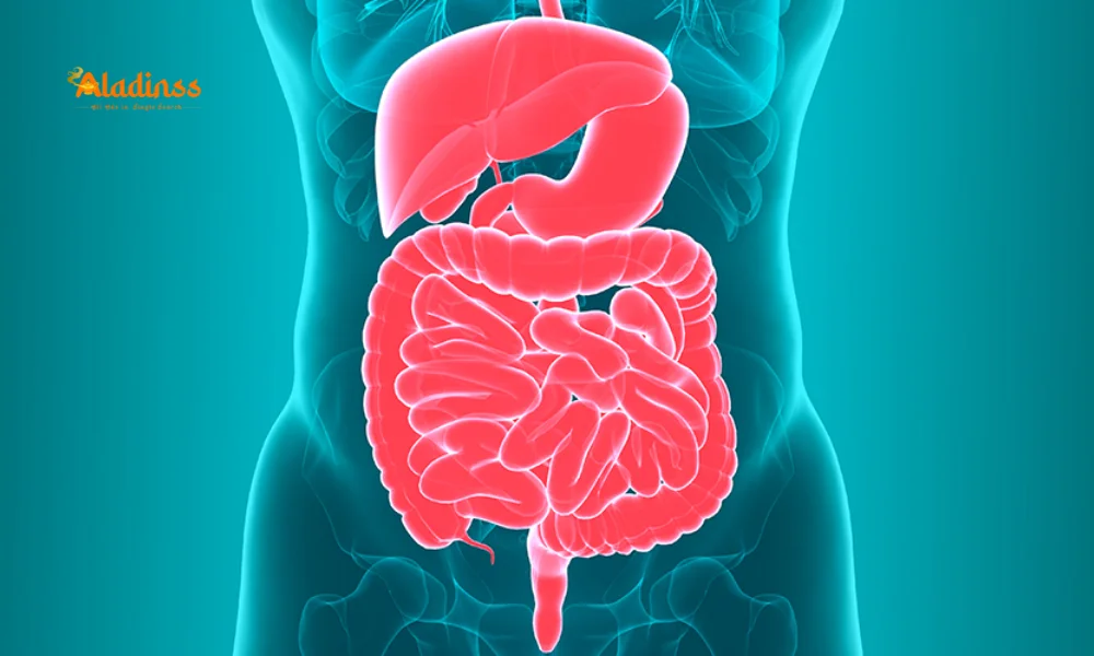 Boost Your Gut Health: Simple Tips for a Balanced Microbiome