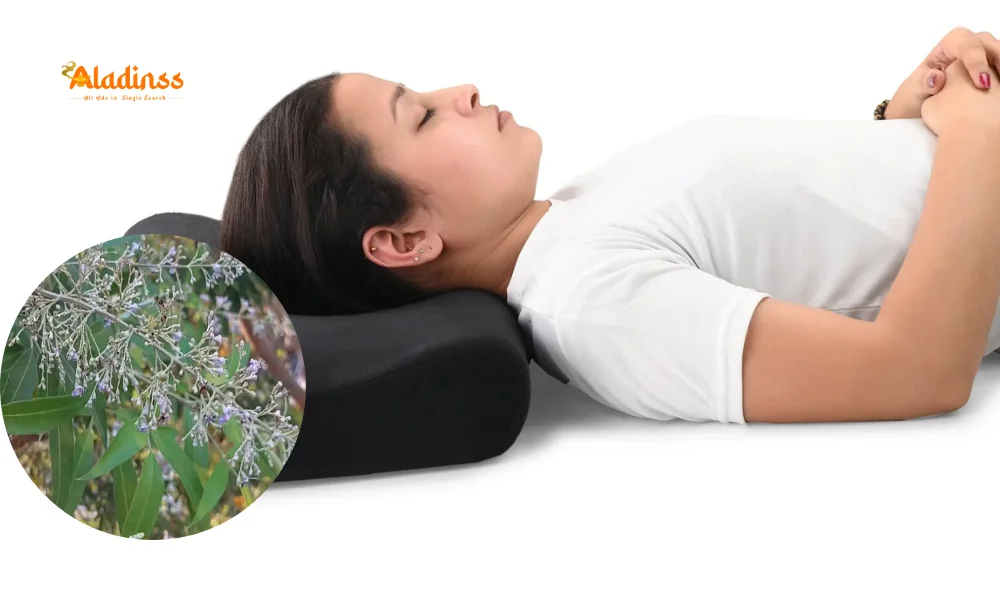 Nochi Leaf Benefits for Pain Relief