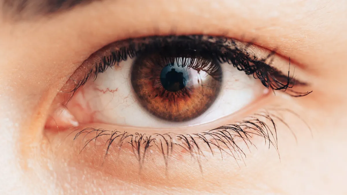 Protect vision lifestyle changes 2025