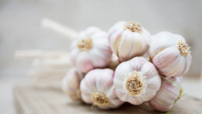 raw garlic benefits for immunity and glowing skin
