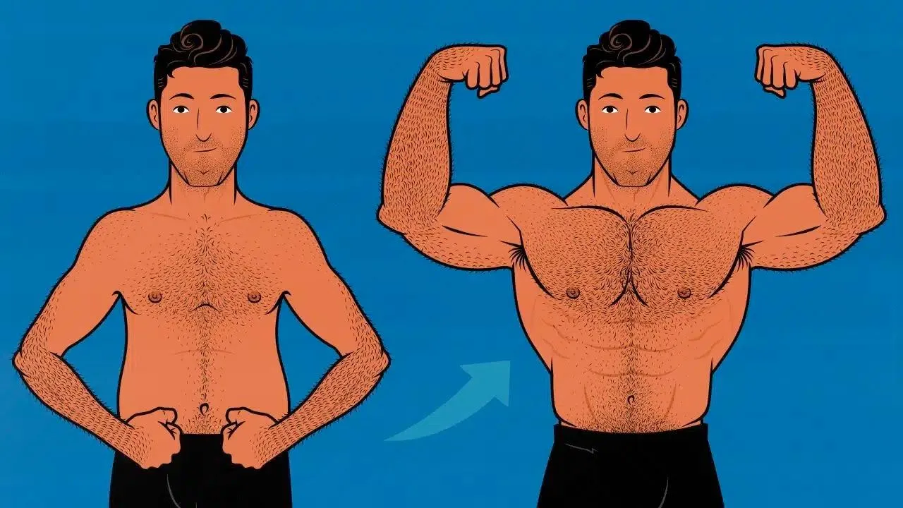 Body Fat Reduction