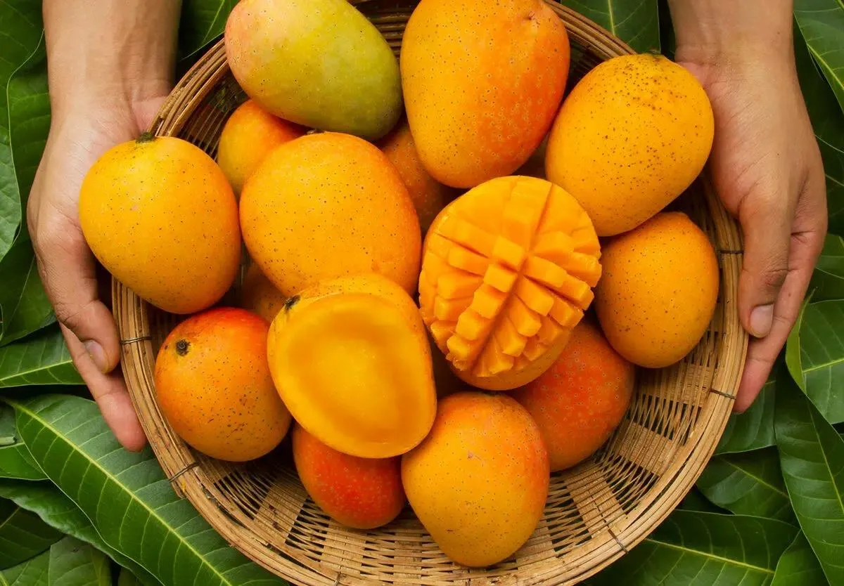 Mango and Heart Health