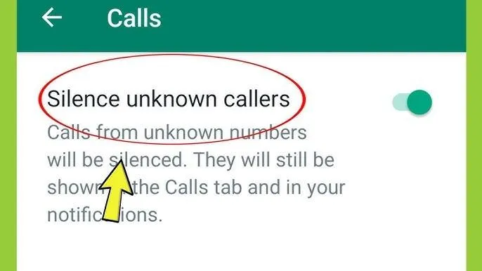 How to Mute WhatsApp Calls From Unknown Numbers