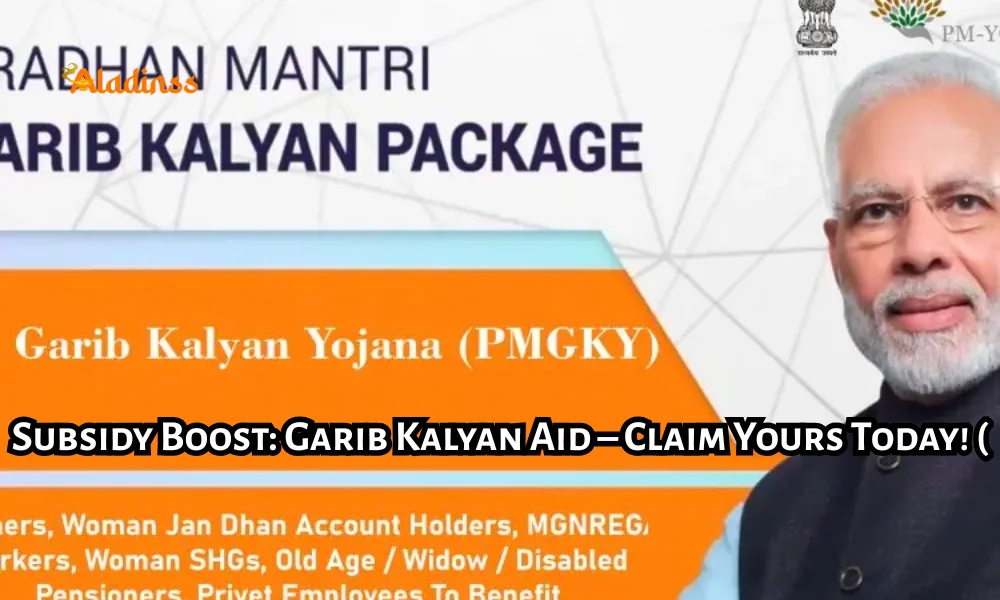 Government New Public Welfare Scheme Subsidy Key Details