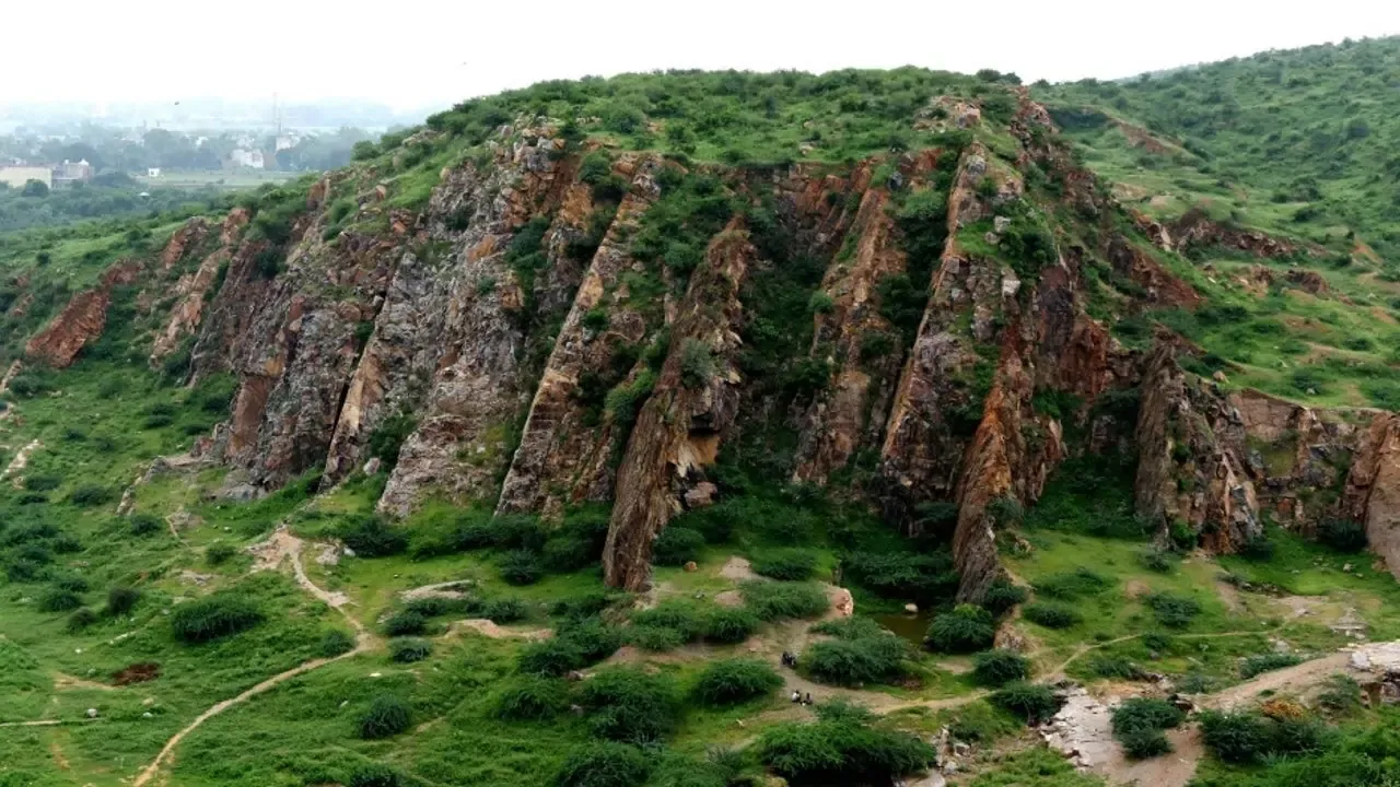 Aravalli Hills Ecological Shield North India