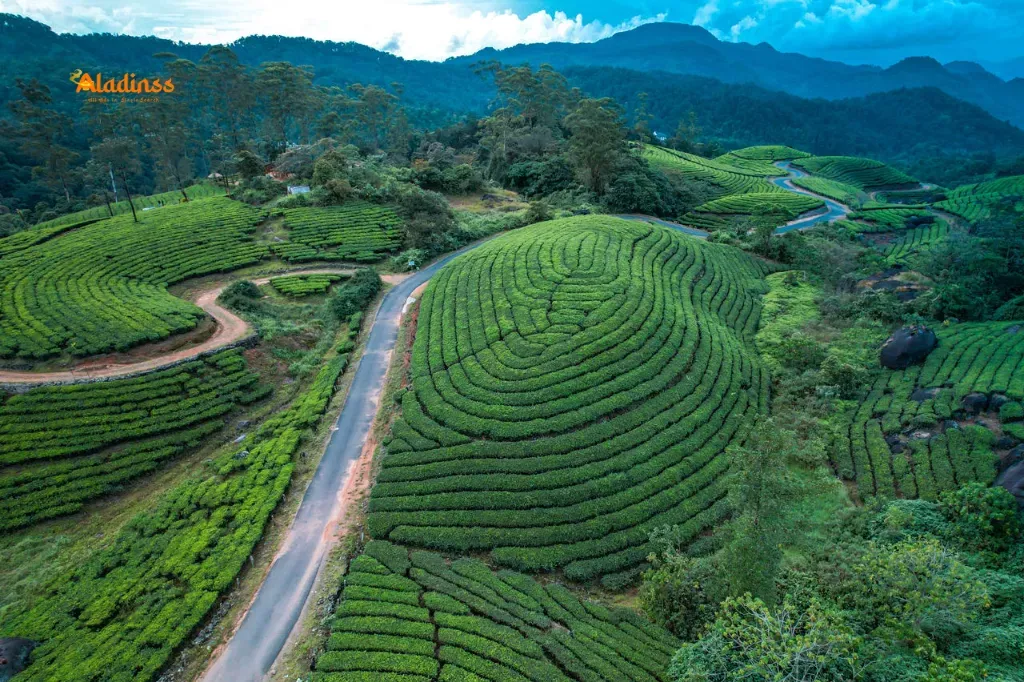 Munnar The Scenic Hill Station in Kerala
