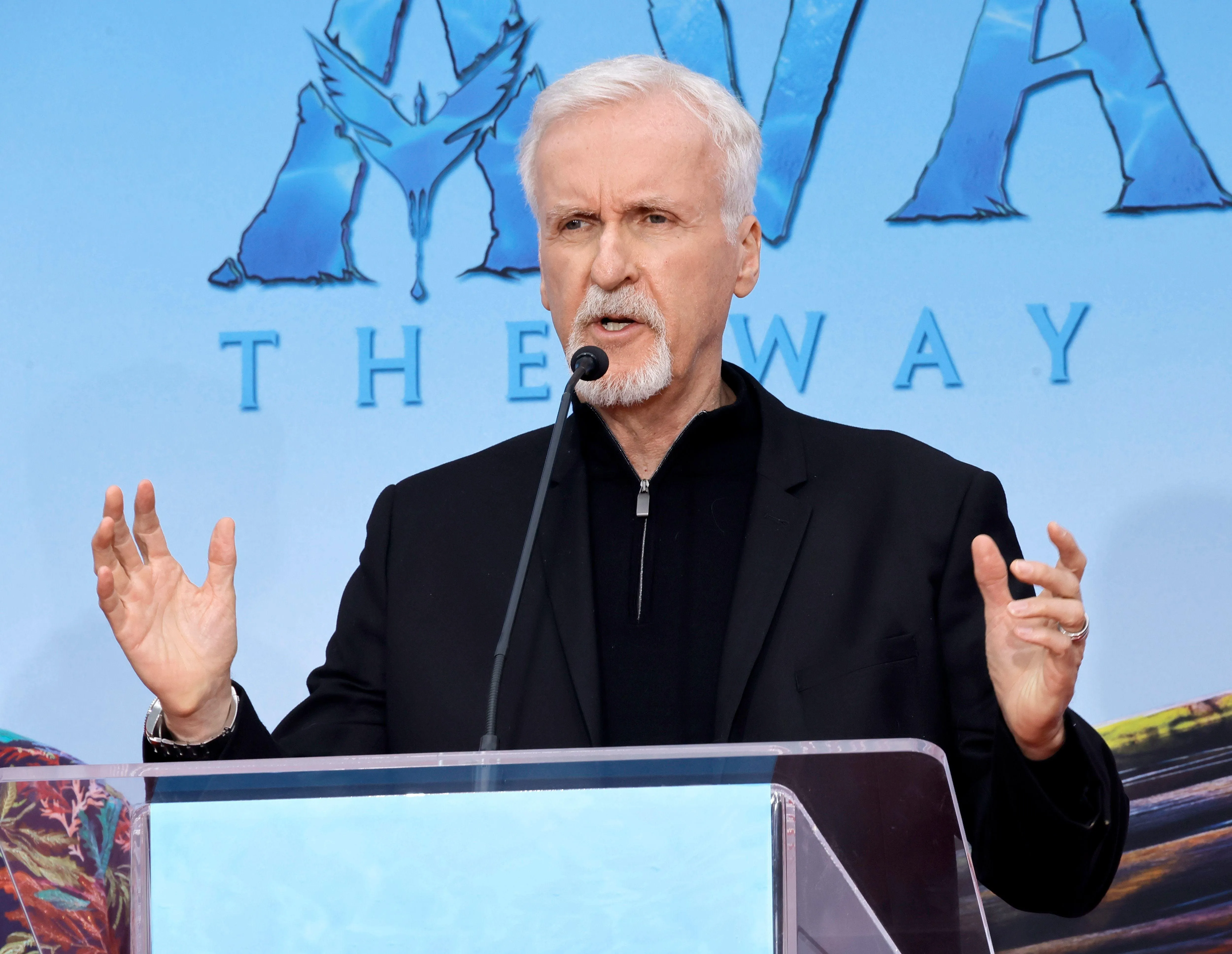 James Cameron Avatar Fire and Ash direction