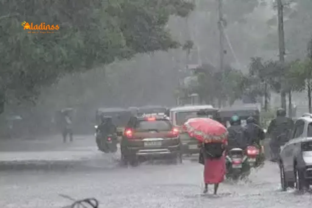 Red Alert in Ooty and Nilgiris Due to Heavy Rain - Tourist Spots Closed