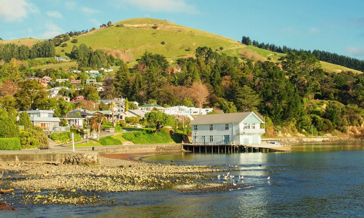 Airbnb Impact on New Zealand Tourism Revival