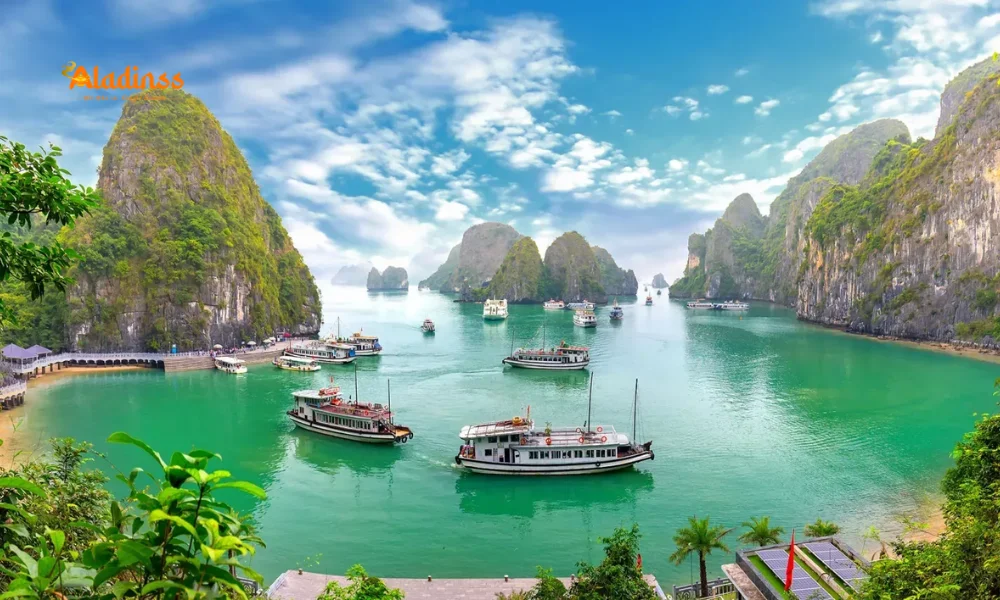 Vietnam Surges U.S. Tourism in 2024 with Canada, Mexico