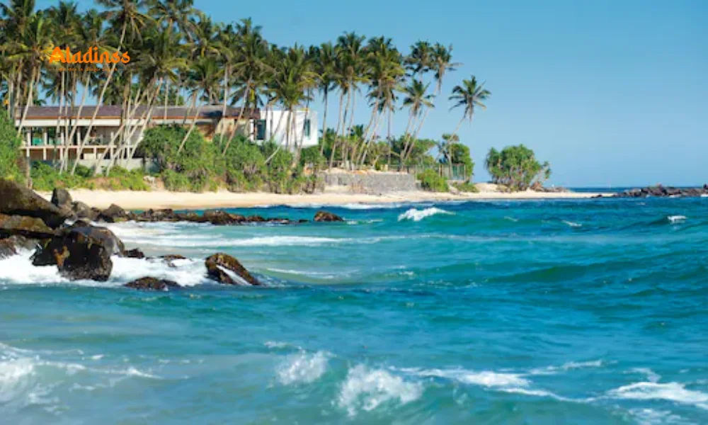 Sri Lanka Guide from South India 2025