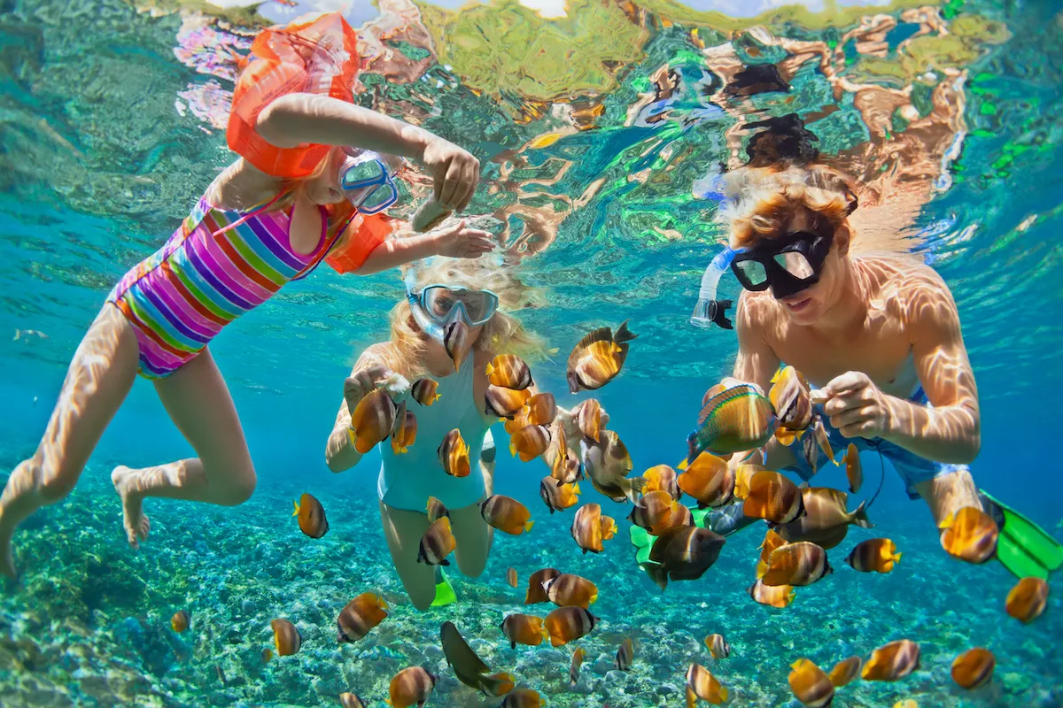 top 10 house reefs in the Maldives