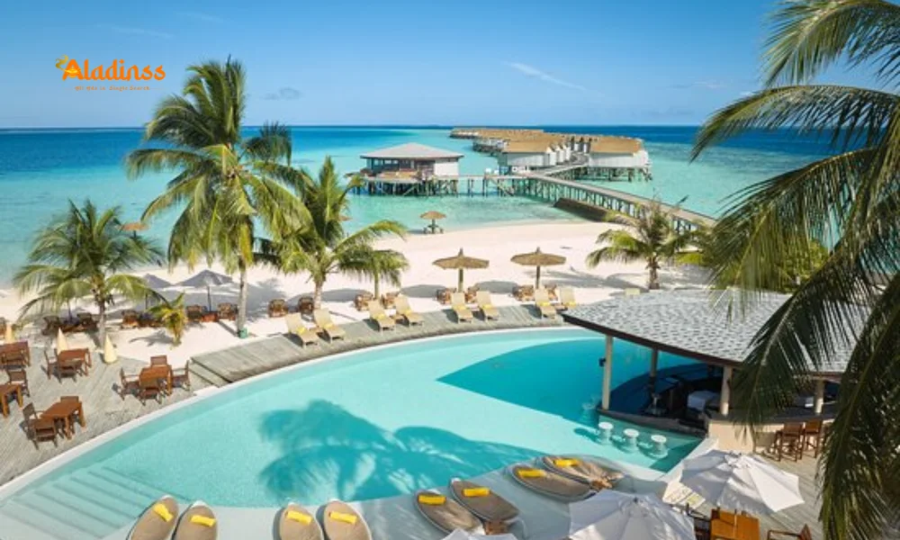 Maldives Beaches 2025 Guide 5 Paradise Stretches for Ultimate Relaxation