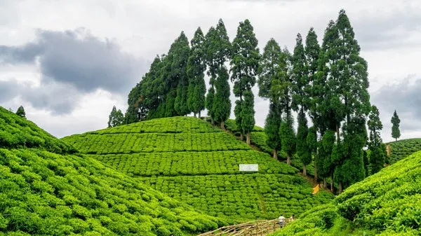 top 10 places to visit in india in 2025