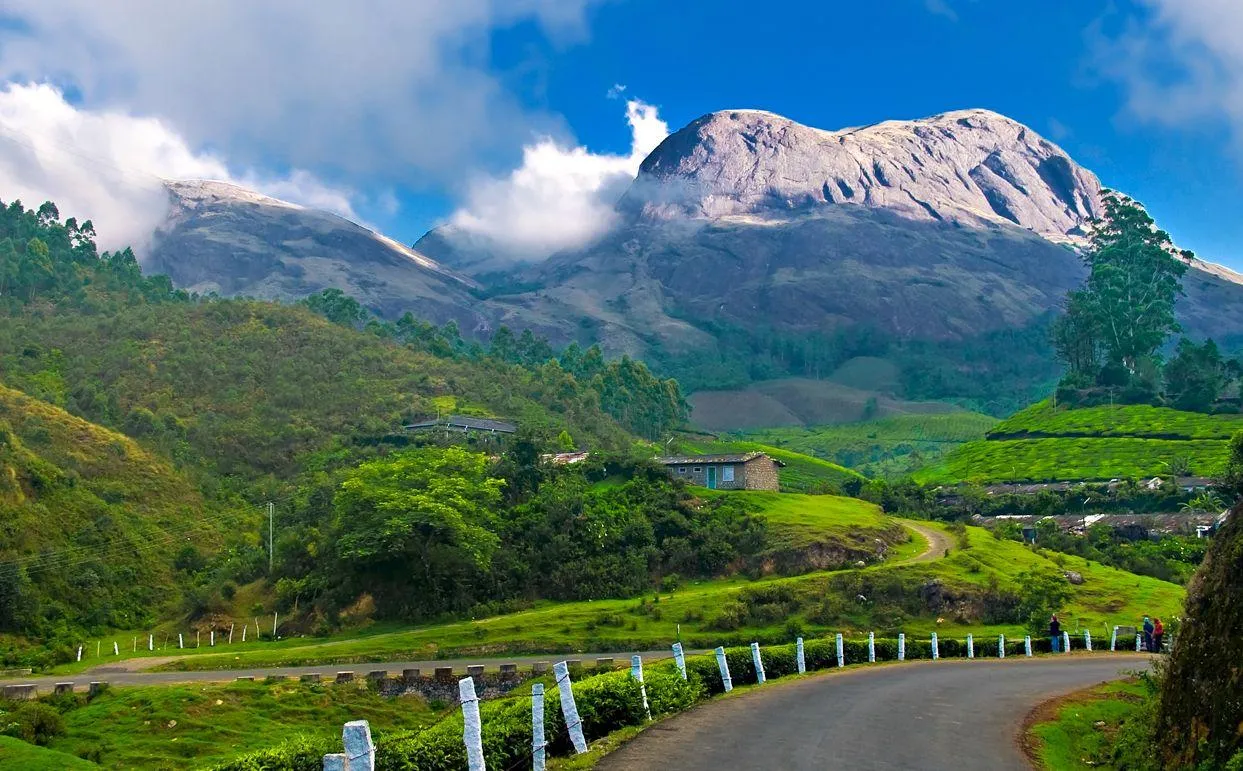 MUNNAR - The Jewel of South India