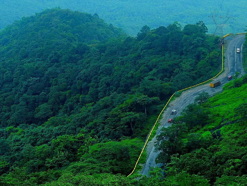 Wayanad - Kerala’s Enchanting Green Retreat