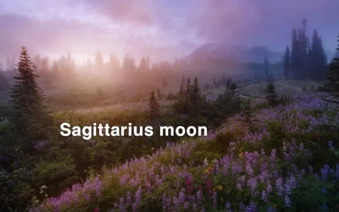 Sagittarius zodiac sign