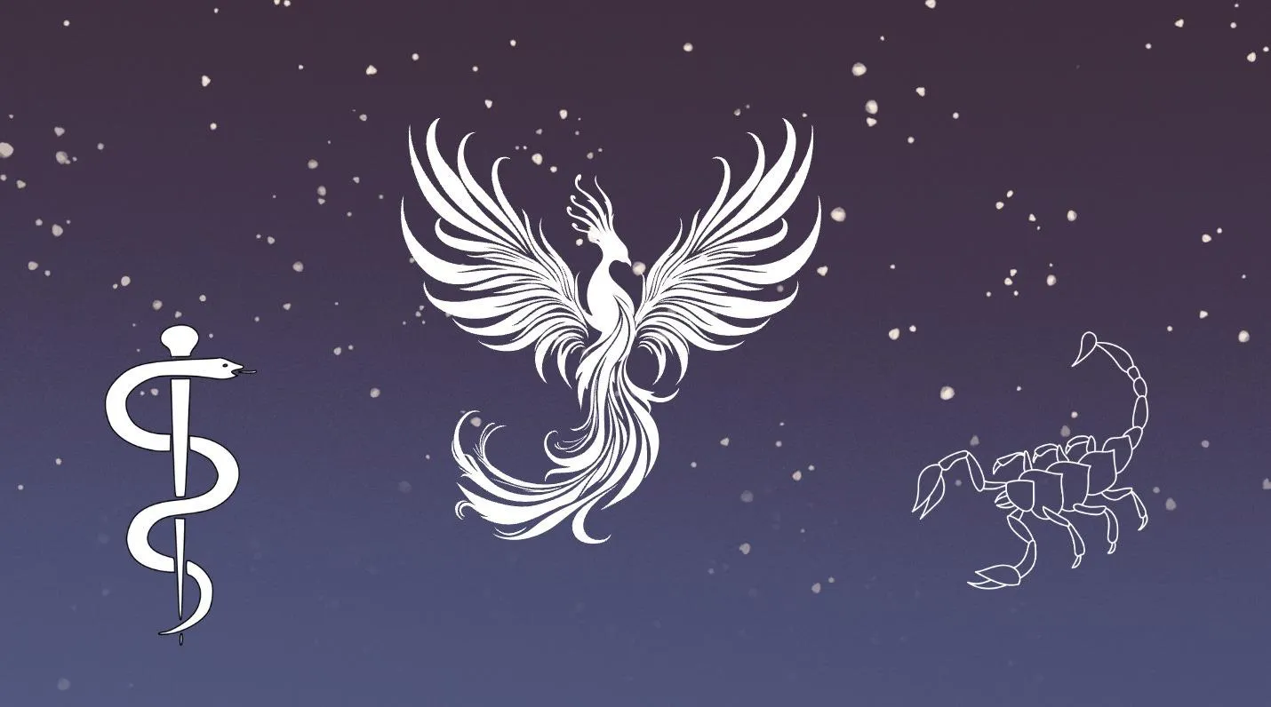 Scorpio transformation and career clarity 12 Aug 2025