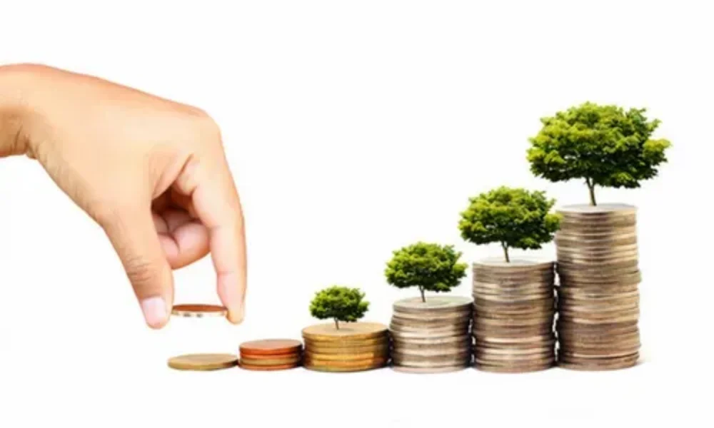best mutual funds to invest in India for long-term wealth 2025