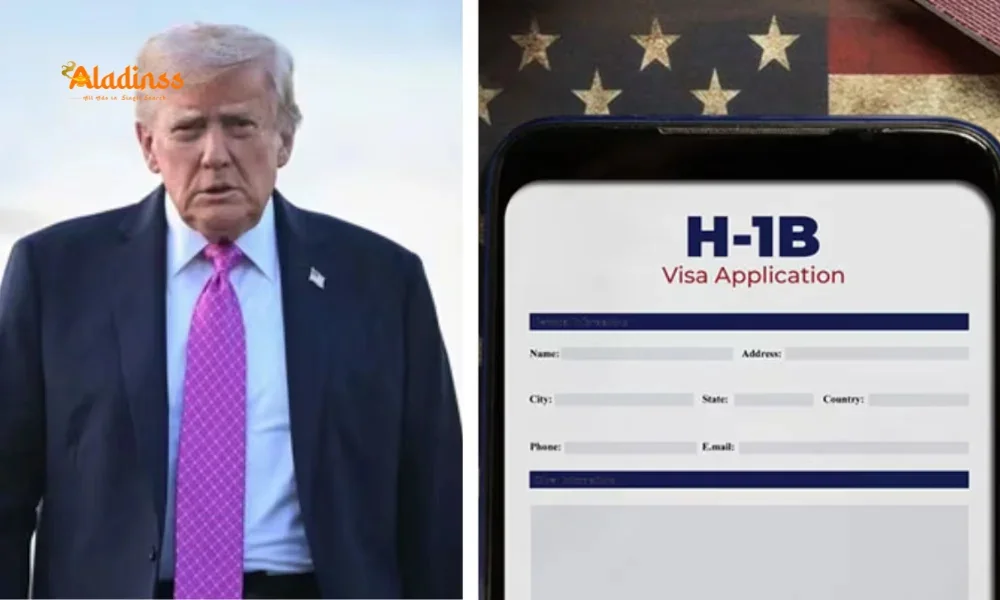 IT Stocks Tumble Up to 6% After Trump's H-1B Visa Fee Hike: Latest Update on Infosys, TCS, Wipro Impact
